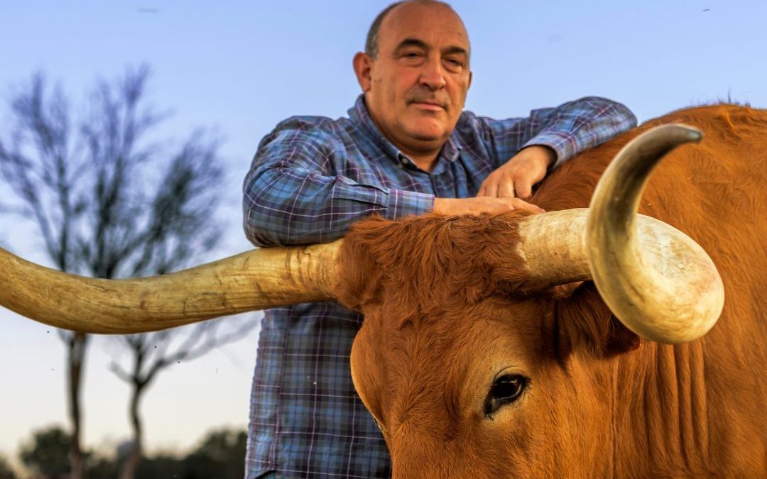 El Capricho se alza con dos Soles en la Guía Repsol