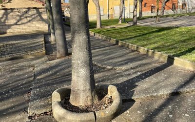 El Ayuntamiento acomete mejoras en el barrio de Santa Clara