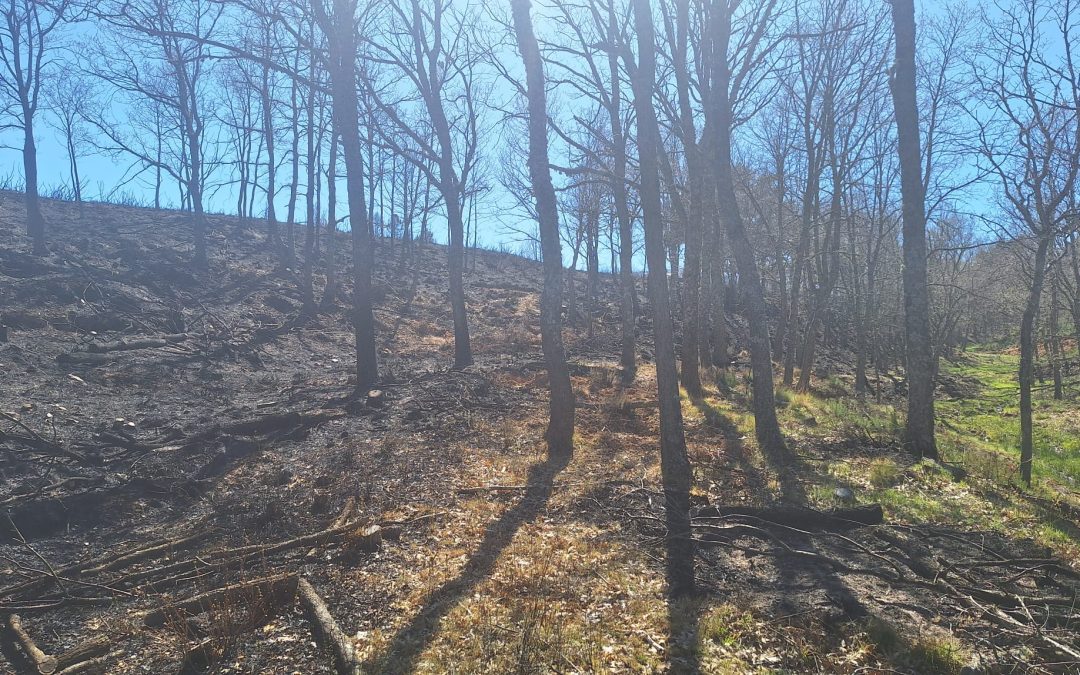 Preocupación por las quemas realizadas por la UME en el campo de tiro del Teleno