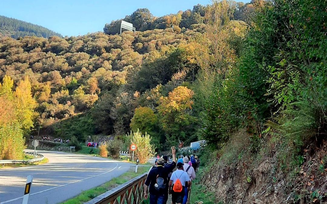 Los peregrinos del Camino de Künig harán este año la etapa Becerreá-Lugo