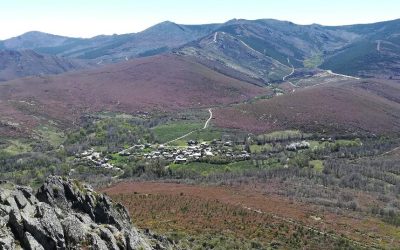 Un voluntariado ambiental da comienzo este sábado a la recuperación forestal del Fantástico Bosque de Valdavido