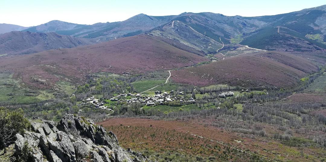 Un voluntariado ambiental da comienzo este sábado a la recuperación forestal del Fantástico Bosque de Valdavido