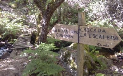 Rescatada una mujer de 60 años tras sufrir una caída en la ruta de los Cañones del Górgora de Montealegre
