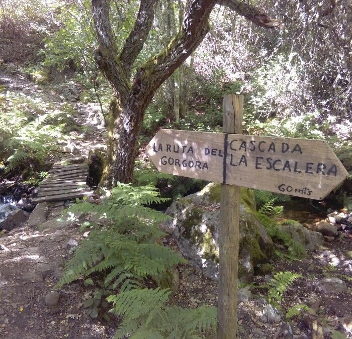 Rescatada una mujer de 60 años tras sufrir una caída en la ruta de los Cañones del Górgora de Montealegre