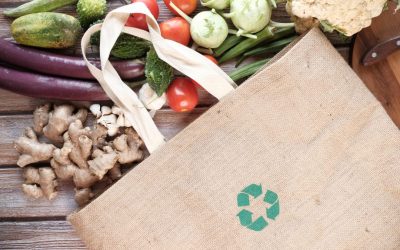 Un curso de verano de la Universidad de León aborda en Astorga la producción agroalimentaria sostenible