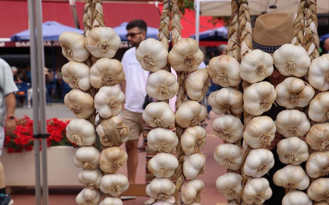 La Feria Agroganadera y del Ajo reúne el 16 de julio en Veguellina de Órbigo a más de 130 expositores
