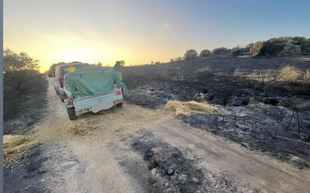 Los cazadores de Val de San Román llevan alfalfa y agua a los animales afectados por el incendio de Castrillo