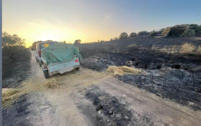 Los cazadores de Val de San Román llevan alfalfa y agua a los animales afectados por el incendio de Castrillo