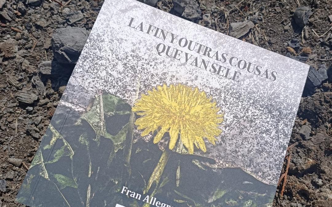 Fran Allegre presenta en Villarejo su libro de poemas ‘La fin y outras cousas que van sele’