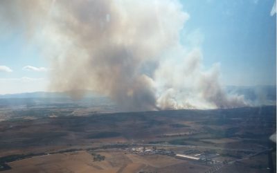 La Junta vecinal de Piedralba traslada su más profundo agradecimiento a los efectivos y vecinos por la labor realizada en la extinción del incendio