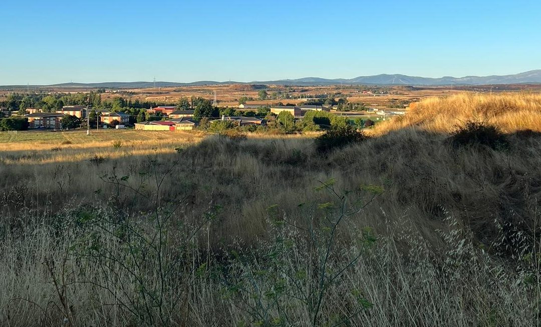 El ayuntamiento inicia las actuaciones previas antes de sancionar a los titulares de los solares sin desbrozar