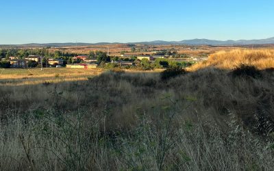 El ayuntamiento inicia las actuaciones previas antes de sancionar a los titulares de los solares sin desbrozar