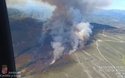 El Gobierno declara a Villagatón como una de las zonas afectadas por emergencias de protección civil a causa del incendio del pasado mes de septiembre