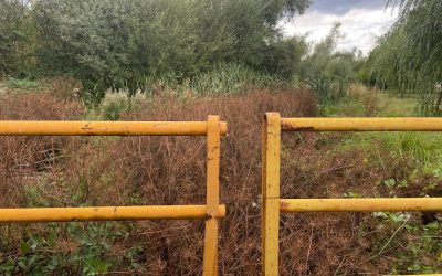 El PP exige la limpieza de los cauces del río en Magaz de Cepeda para evitar “riesgos futuros” de desborde cuando “comiencen las lluvias”