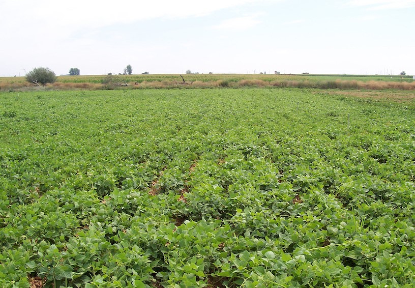 La Diputación de León destina 40.000 euros en ayudas para el análisis de tierras