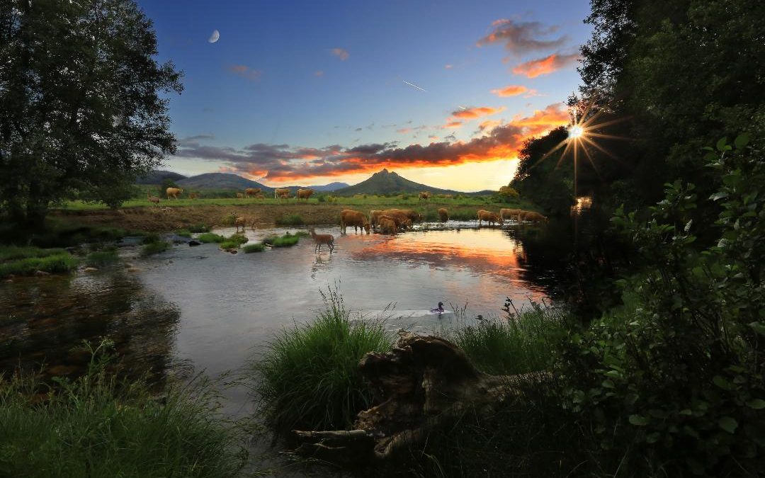 «En libertad» de Emilio Rubio gana el 5º Concurso Fotográfico de Montañas del Teleno