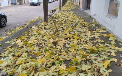 Los socialistas tildan de ‘dejadez’ la situación de algunas calles en Astorga