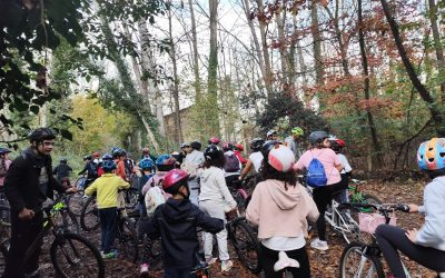 Más de 2.300 participantes en las jornadas de deporte escolar organizadas por la Diputación de León hasta final de año