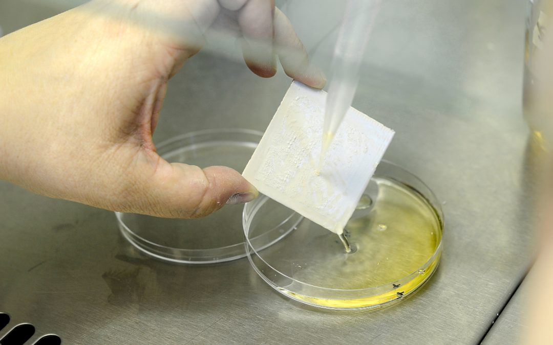 Una investigación de la Junta desvela las propiedades del lúpulo para obtener resinas sostenibles de aplicación en recubrimiento de maderas y metales