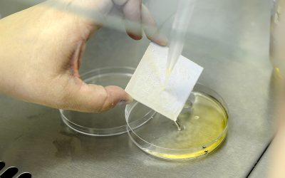 Una investigación de la Junta desvela las propiedades del lúpulo para obtener resinas sostenibles de aplicación en recubrimiento de maderas y metales