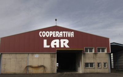 La ‘Cooperativa Lechera Lar’ de Veguellina entra en concurso de acreedores