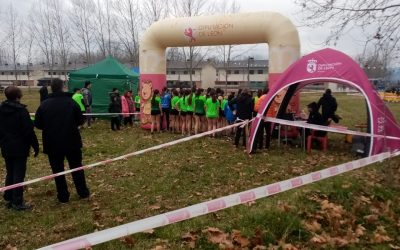 290.000 euros en subvenciones para escuelas deportivas de la provincia