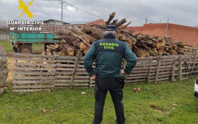 Un detenido en Benavides de Órbigo por el robo de 1.200 euros en material agrícola y leña