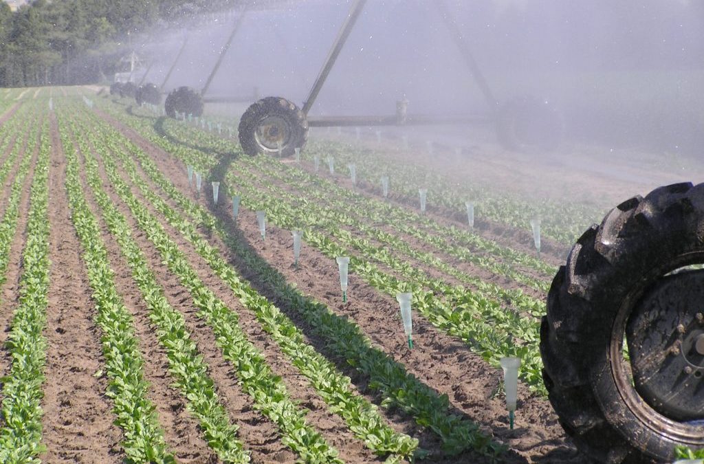 UGAL-UPA pide a la Junta que amplíe el presupuesto para la incorporación a la ayuda agroambiental de remolacha