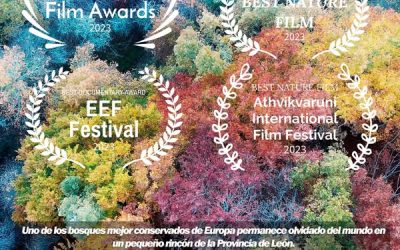 De Astorga a Picos de Europa gracias a la proyección del documental ‘El Bosque Salvaje de Pardomino’