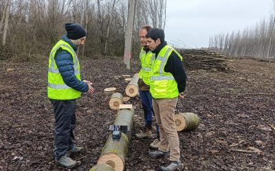 Investigadores de la ULE mapean la calidad de la madera en tiempo real utilizando tecnología no destructiva y gemelos digitales en Villamor de Órbigo