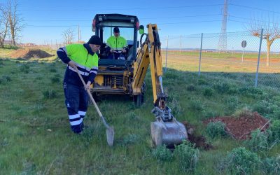 Santa María del Páramo pone en marcha «El Bosque Creciente, Creación de un lugar de vida»