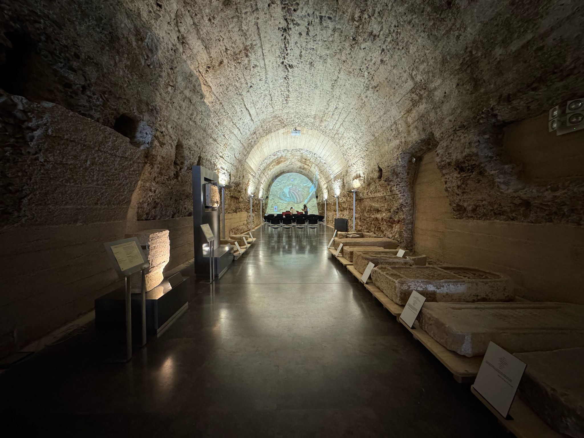 WhatsApp Image 2025-04-08 at 14.01.19