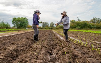 Castilla y León refuerza el apoyo a mujeres desempleadas en el ámbito rural con 5,7 millones en ayudas