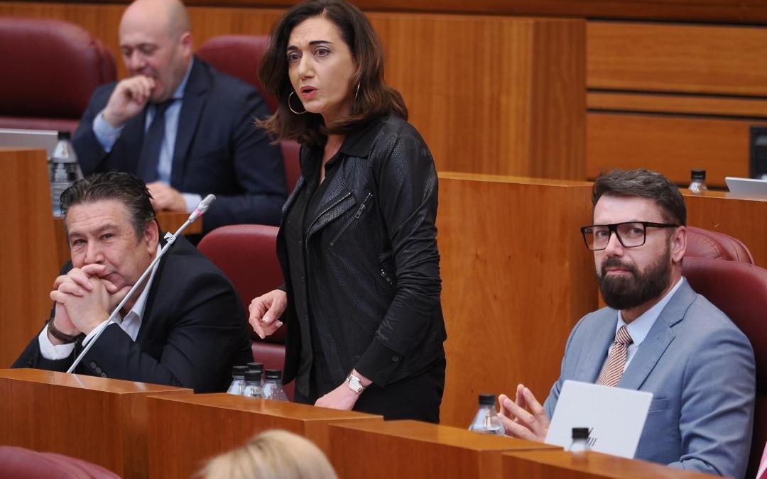 UPL denuncia “la preocupación social” respecto a la sanidad pública de la Región Leonesa con una Junta que genera pacientes de primera y de segunda