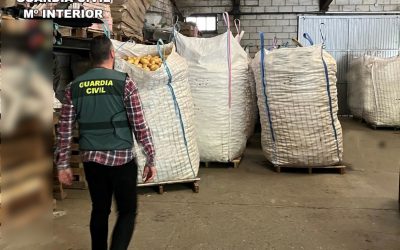 Dos detenidos por una supuesta estafa en la compra de 25.000 kilos de patatas en La Bañeza