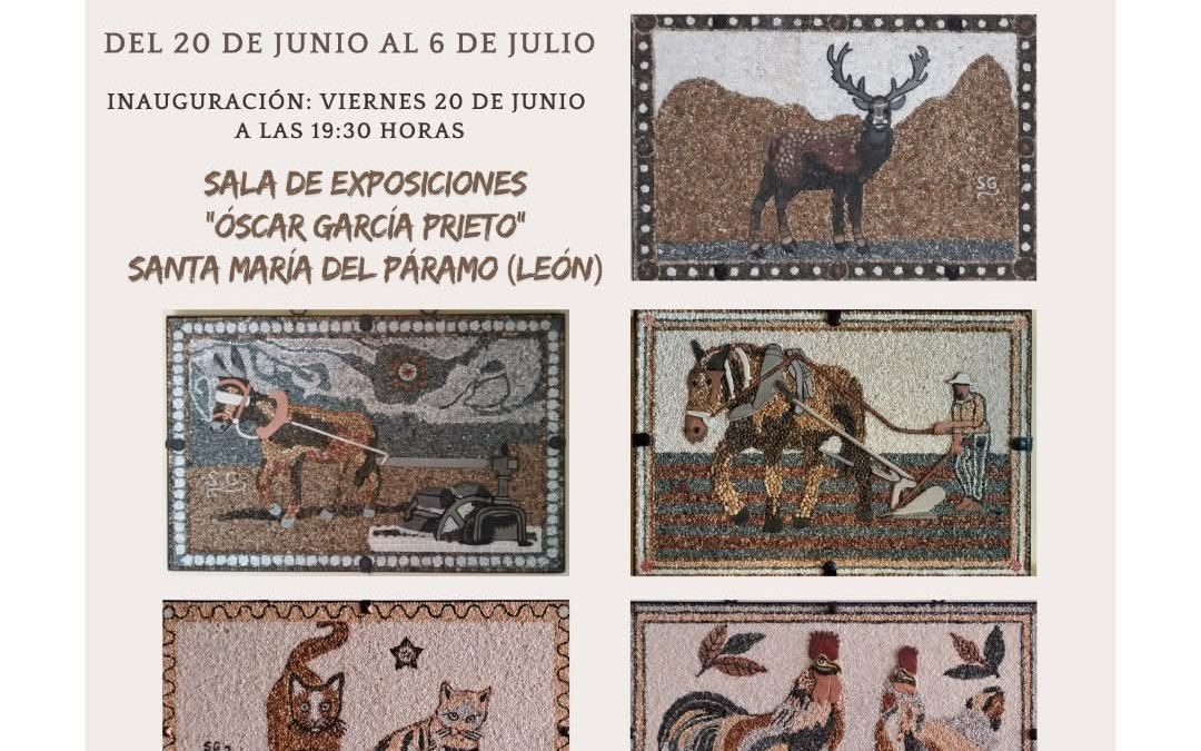 Programa Local Cope Astorga 19 de Junio 2025