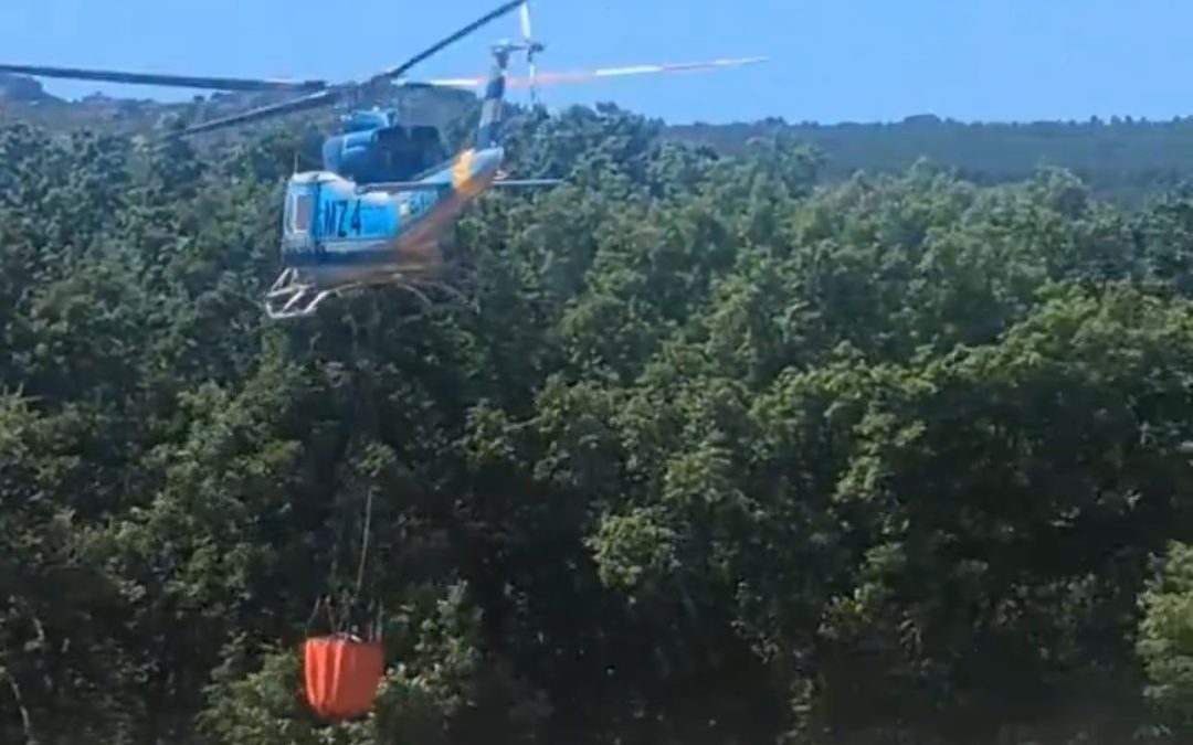 La BRIF de Tabuyo del Monte inicia su 33ª campaña contra incendios forestales