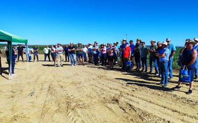 Santibáñez de la Isla impulsa el futuro del campo: el riego a baja presión aumenta la producción y reduce hasta un 30% el gasto energético