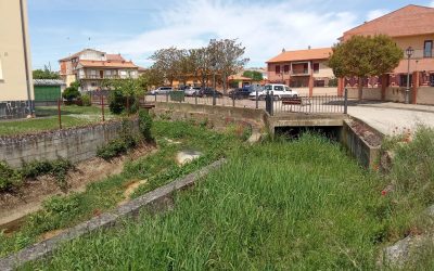 El PP pregunta al Gobierno si prevé ejecutar obras de mantenimiento y mejora para los canales que atraviesan Benavides y que se “encuentran en un estado de abandono”