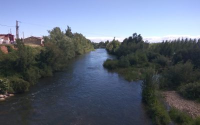 El PP de León afirma que la CHD elude su responsabilidad en el corte de agua para los huertos urbanos y el cauce ecológico en el Órbigo