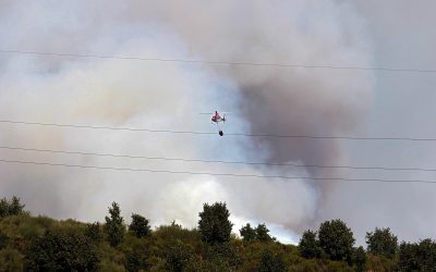 El Gobierno inicia hoy el pago de más de 8,7 millones en ayudas directas a agricultores y ganaderos afectados por los grandes incendios
