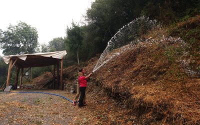 Promonumenta distingue como Socio de Honor 2025 a quienes defendieron el patrimonio leonés durante los incendios