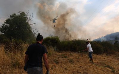 Castilla y León activa la alerta por riesgo de incendios y prohíbe barbacoas, fuegos y pirotecnia desde este domingo