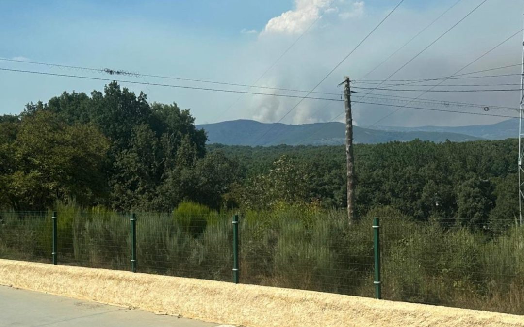 León contabiliza 16 incendios “que requieren atención” en una jornada “con más temperatura, menos humedad y vientos cambiantes”