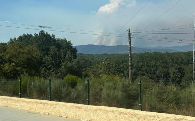 León contabiliza 16 incendios “que requieren atención” en una jornada “con más temperatura, menos humedad y vientos cambiantes”