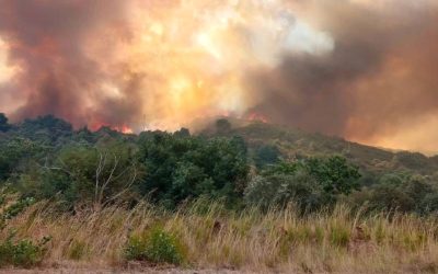 Villamontán de la Valduerna recibe una ayuda de 6.300 euros para trabajos de reconstrucción tras los incendios