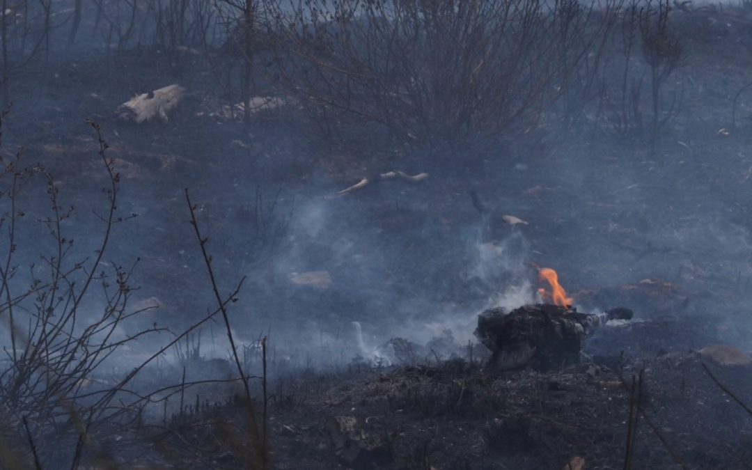 La Junta autoriza más de 700.000 euros en ayudas directas para la reconstrucción de seis viviendas y edificaciones afectadas por los incendios en Villamontán y Quintana y Congosto