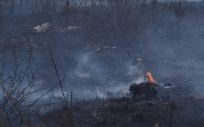 La Junta aprueba 854.000 euros para restauración y prevención de incendios en la provincia de León