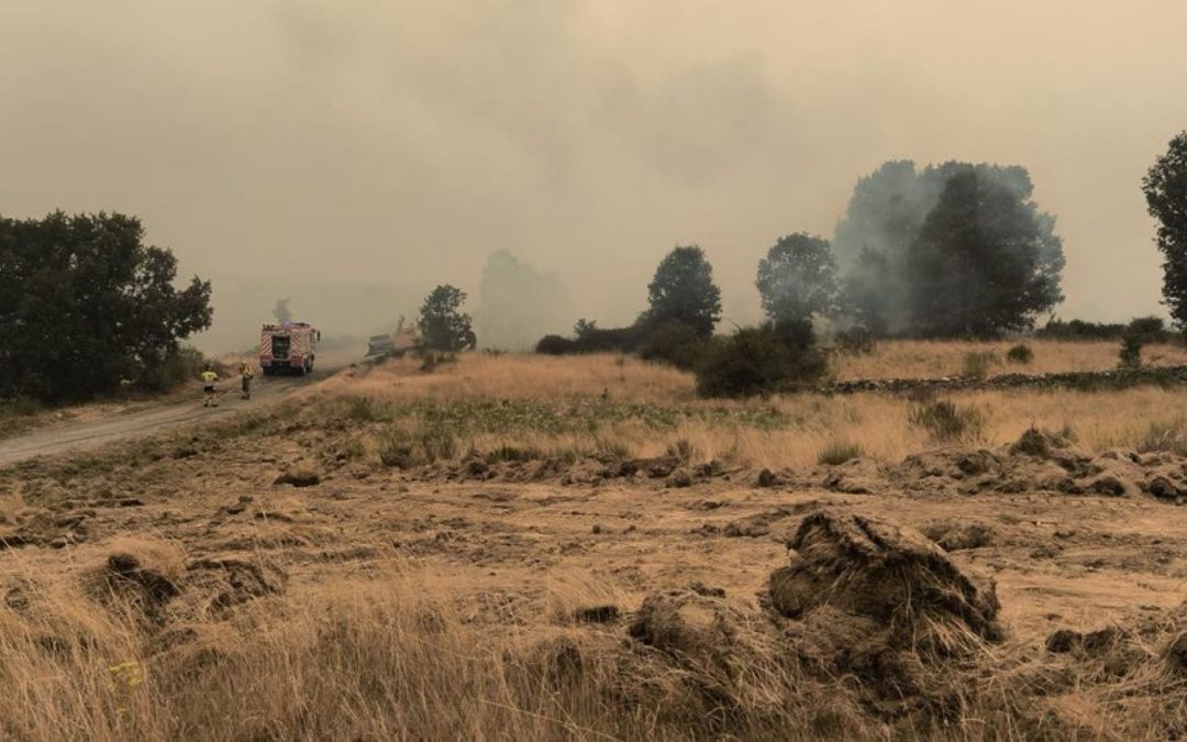 El 90% del perímetro del incendio de Llamas de Cabrera está estabilizado y se prevé completar mañana