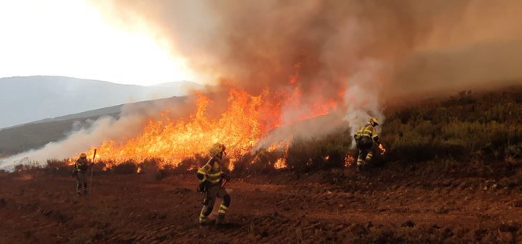 El primer Consejo de Gobierno de la XII Legislatura crea la Dirección General de Prevención y Extinción de Incendios Forestales que ocupará Ángel Sánchez Martín